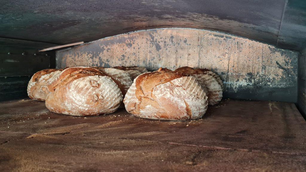 Brote im Ofen